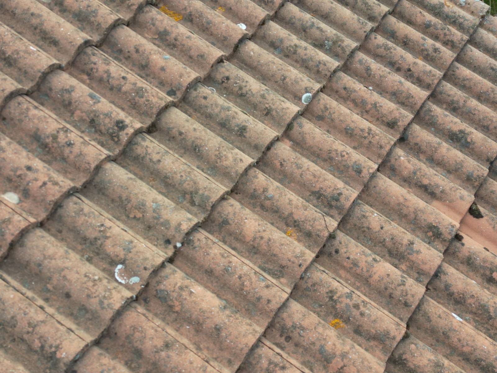 Expertise logement humide par un professionnel à Vichy dans l'Allier