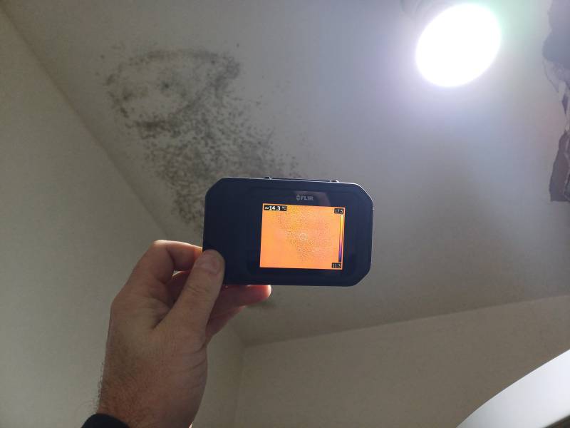 Infiltration moisissure