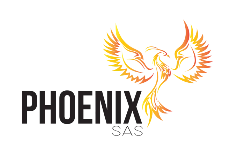 Intervention après un sinistre : Travaux inachevés après un dégât des eaux, tempête, grêle ou inondation Valence (26) Drôme Phoenix